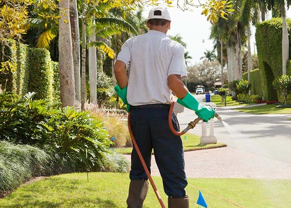 About Atlantic Beach FL Pest Control Pros